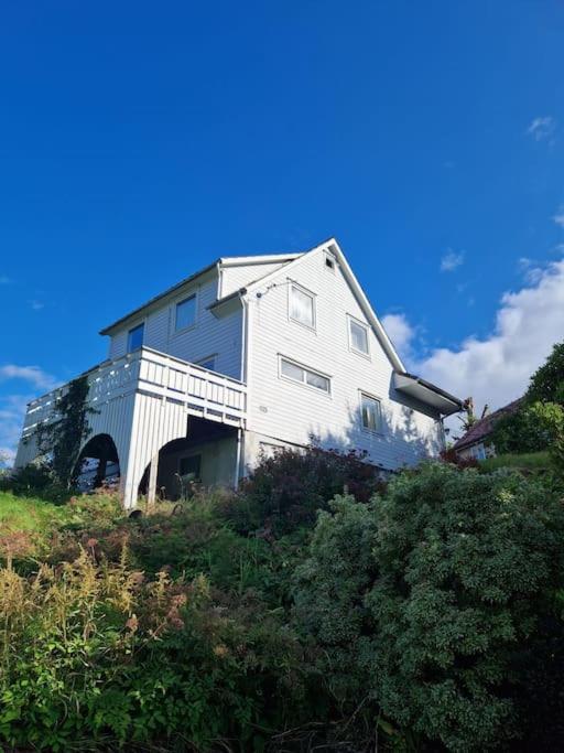 Madsgard Vila Etnesjoen Exterior foto
