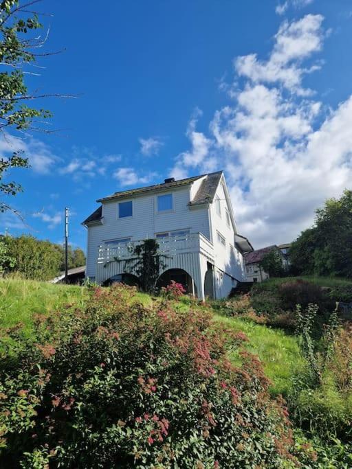 Madsgard Vila Etnesjoen Exterior foto